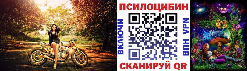 hydra как войти  Николаевск-на-Амуре  Галлюциногенные грибы ЛСД 